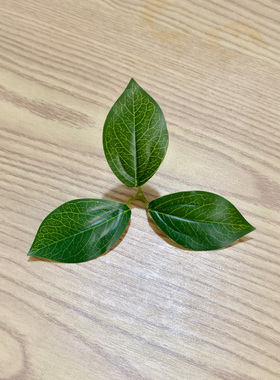 水果店装饰绿叶塑料假叶子水果礼盒包装饰假叶子小绿叶DIY假树叶