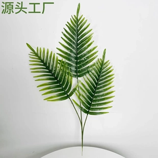 仿真散尾葵叶过胶三叉凤尾葵铁树叶婚庆婚礼插花装饰塑料假绿叶子
