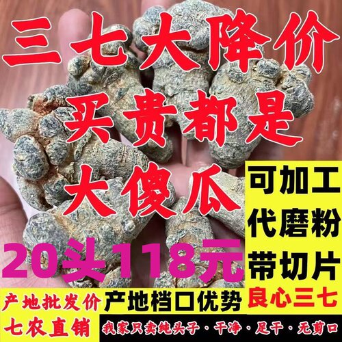 云南文山三七特级20头不是野生