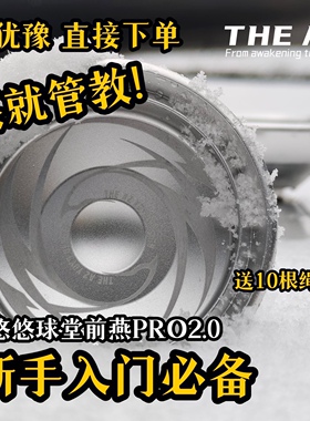 专业悠悠球溜溜球 磨砂堂前燕pro3.0胖燕 新手入门 国潮风THE AZ
