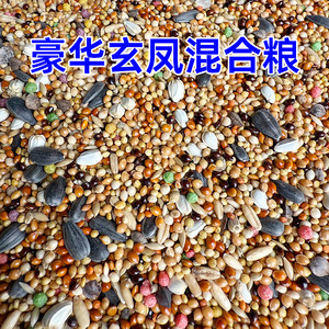 玄凤中型鹦鹉混合营养粮5斤