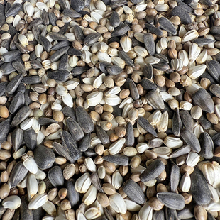 油葵 黑瓜子 红花籽 火麻子 麻籽 三合一 混合鹦鹉鸟粮鸟食