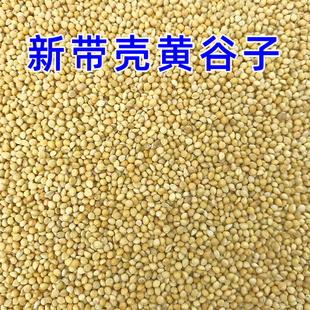 新黄谷子带壳小米虎皮牡丹玄凤中小型鹦鹉文鸟鸟饲料鸟粮鸟食粮食