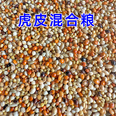 虎皮鹦鹉专用混合营养粮5斤