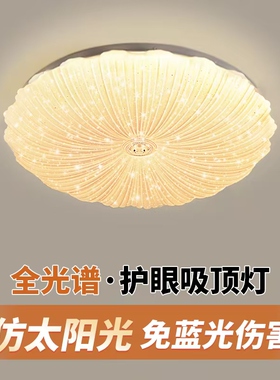 2026年新款客厅灯贝壳吸顶灯led卧室灯简约现代儿童房间餐厅灯具