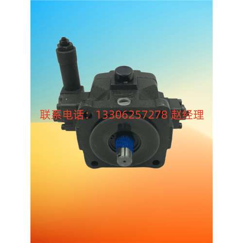 台湾弋力 VDC-1A-F40D油泵VDC-1A-F30C-10液压泵VDC-1A-F20C-10