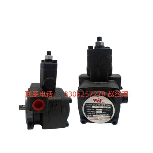 WINMOST台湾峰昌叶片泵VP-DF-30B/30B VP-DF-20A-20A原厂现货速发