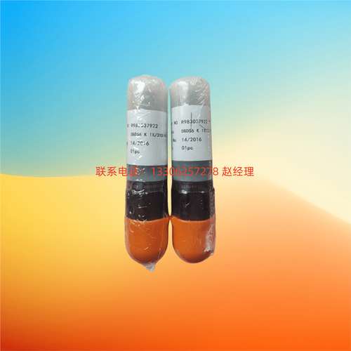 力士乐Rexroth直动式溢流阀R900423725报价为准DBDS6K1X/315原厂