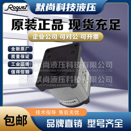 进口西班牙ROQUET齿轮泵1M0.5/0.7/1/1.25/1.5/2DF09R液压马达