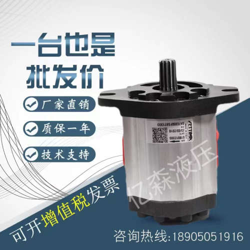 意大利进口塞特玛SETTIMA螺杆泵G47C050FSBT130D花键平键齿轮油泵