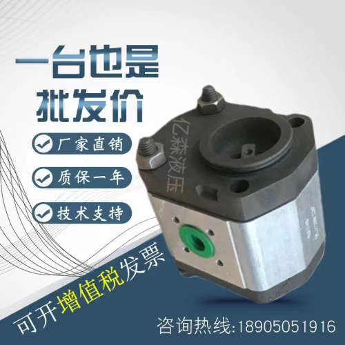 西班牙ROQUET齿轮泵1M0.5/1M0.75/1M1.25/1M1.5/1M2DF09R液压油泵