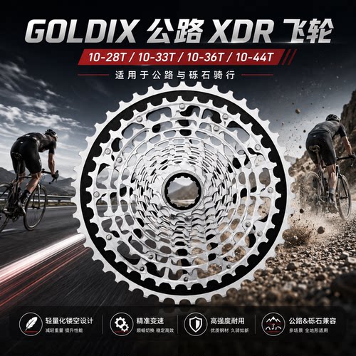 GOLDIX12速公路车XDR飞轮