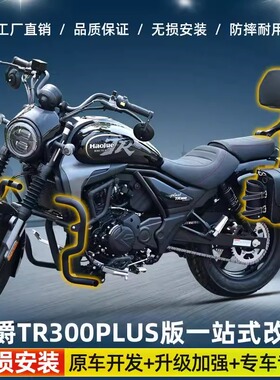 适用豪爵TR300plus保险杠护杠加厚加宽折叠靠背货架边包改装配件