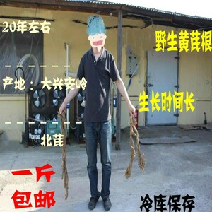 大兴安岭野生整根无硫黄芪包邮