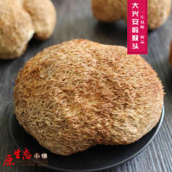 大兴安岭猴头菇500克 东北特产 干货东北猴头菌 猴头蘑 煲汤 包邮