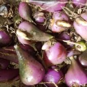 仁杰老师道地好物 冰球子鲜货250克 袋