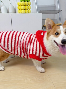 柯基衣服新年喜庆红色条纹秋冬装加绒卫衣泰迪比熊雪纳瑞狗狗衣服
