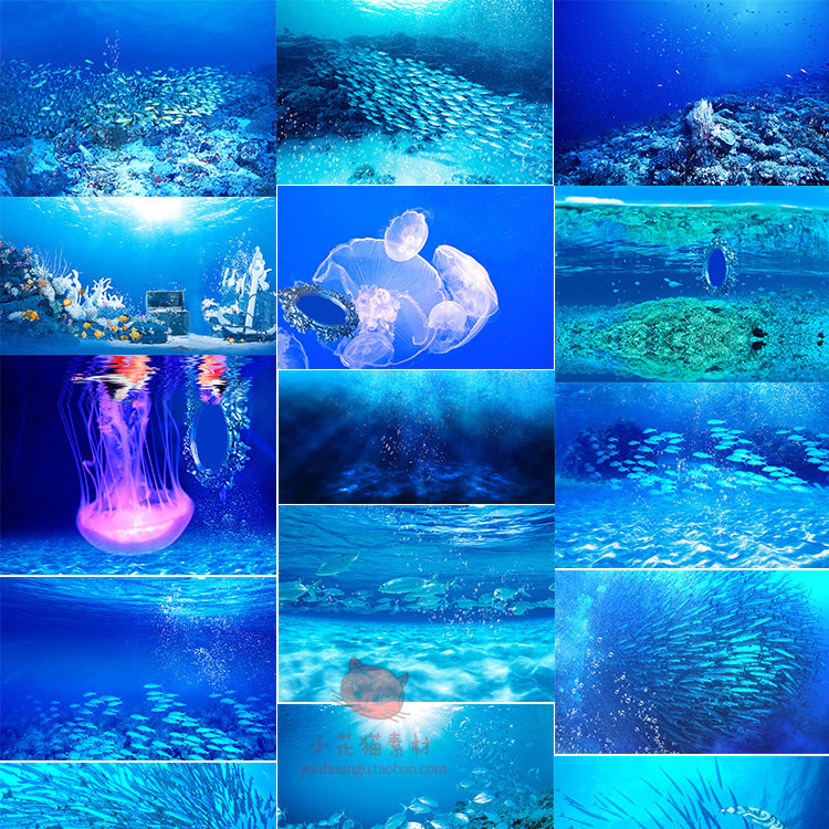 水母珊瑚海底水下摄影楼后期婚纱照片海报合成背景素材图高清psd