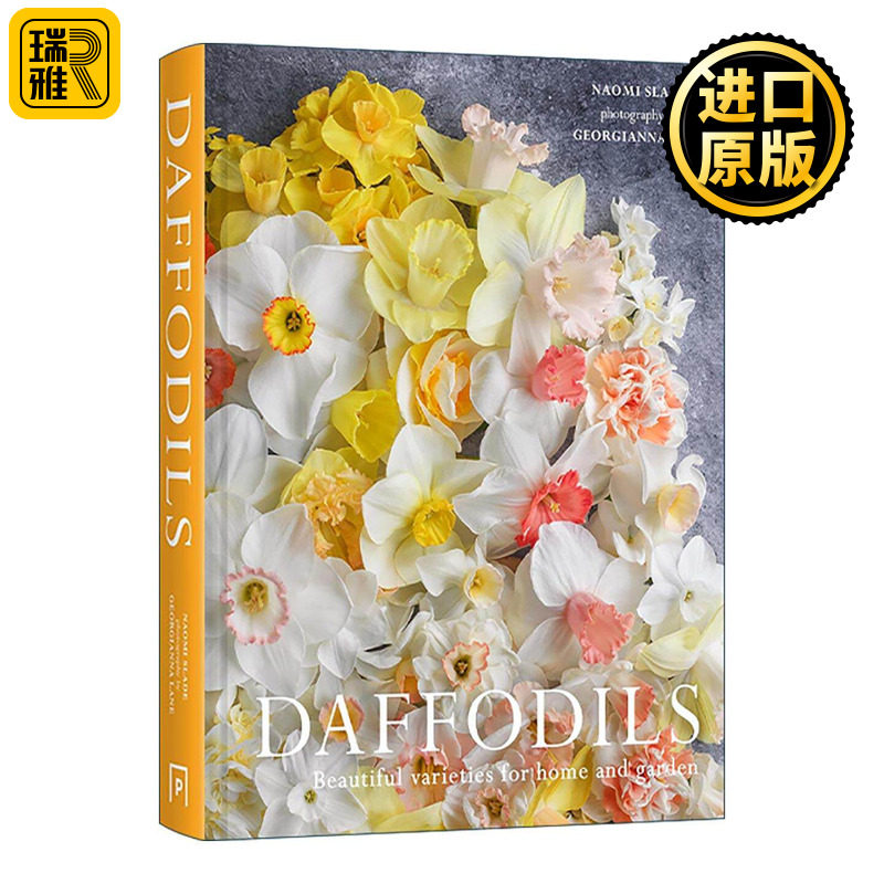 英文原版 Daffodils Beautiful Varieties for Home and Garden 黄水仙 适合家庭和花园的美丽品种 精装花卉画册 进口英语原版书籍