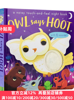 现货 Owl Says Hoot 猫头鹰 触摸发声书 英文原版 Amanda Enright 全英文版进口原版英语书籍