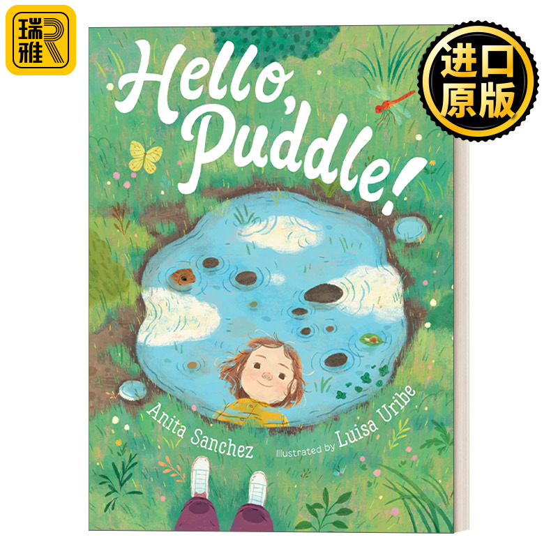 英文原版绘本 Hello Puddle你好小水塘精装儿童绘本图画书 Anita Sanchez英文版进口英语原版书籍