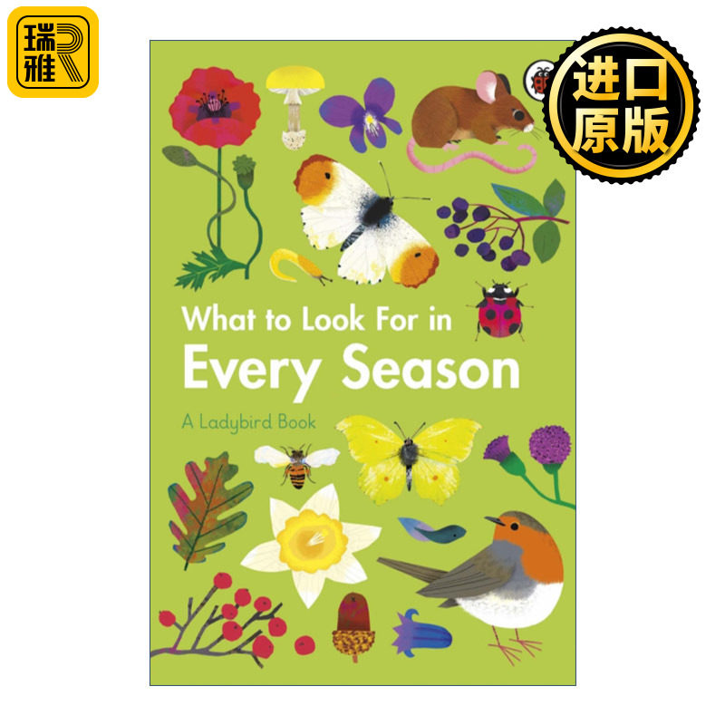 What to Look For in Every Season 小瓢虫四季寻宝记 各个季节有什么 四册盒装 精装