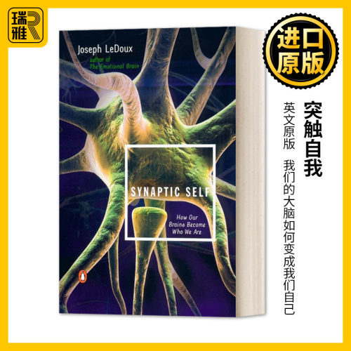 突触自我我们的大脑如何变成