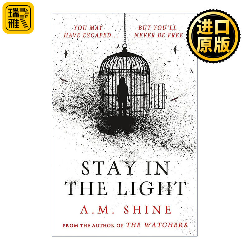 英文原版 Stay in the Light 光明遗影 神秘窥视续篇 A.M. Shine畅销惊悚小说 达科塔·范宁主演同名电影原著 进口英语原版书籍