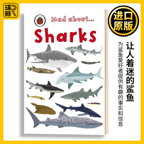 Mad About Sharks Mad about系列 鲨鱼 英文原版