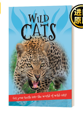 关于猫 关于动物系列 英文原版 It's all about... Wild Cats 儿童百科科普读物 英文版 Editors of Kingfisher 进口英语原版书籍