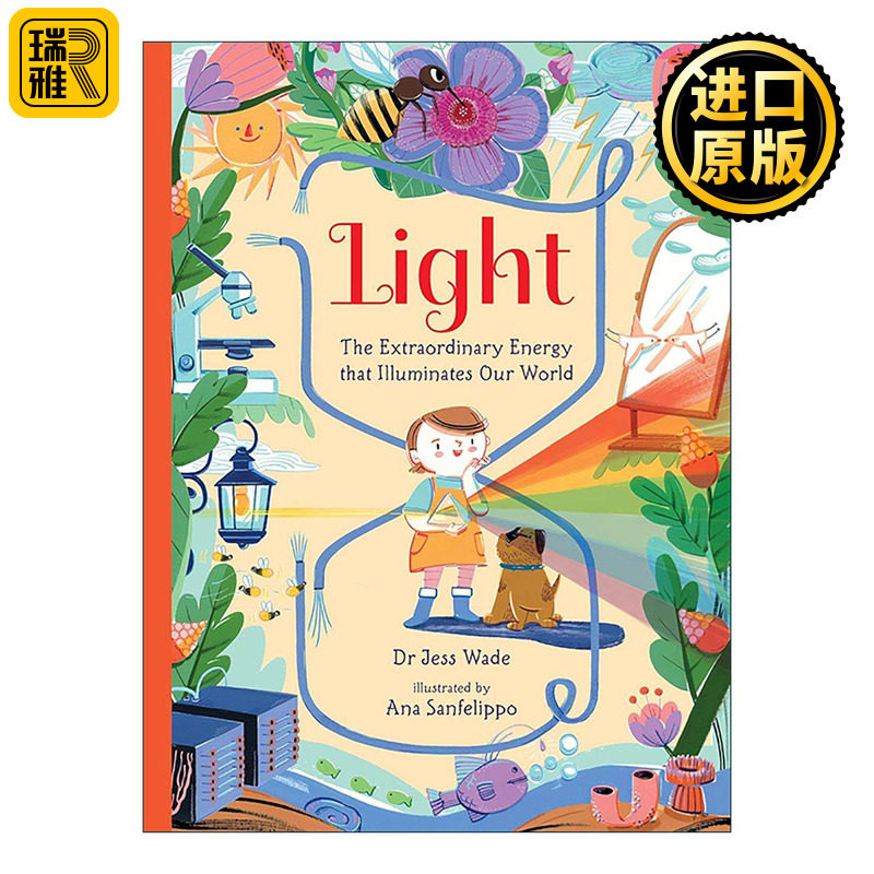 英文原版 Light The Extraordinary Energy that Illuminates Our World 光的科学 照亮我们的世界 儿童科普百科绘本精装 英文版