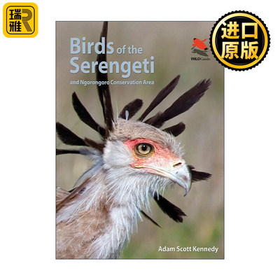 Birds of the Serengeti 塞伦盖蒂鸟类指南 恩戈罗恩戈罗自然保护区 普林斯顿野生动物探险家指南 Adam Scott Kennedy 英文原版