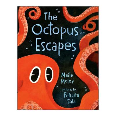 英文原版 The Octopus Escapes 八爪鱼大逃亡 儿童绘本 安徒生优秀插画家奖得主Felicita Sala 两全其美作者梅尔·梅洛 纸板书