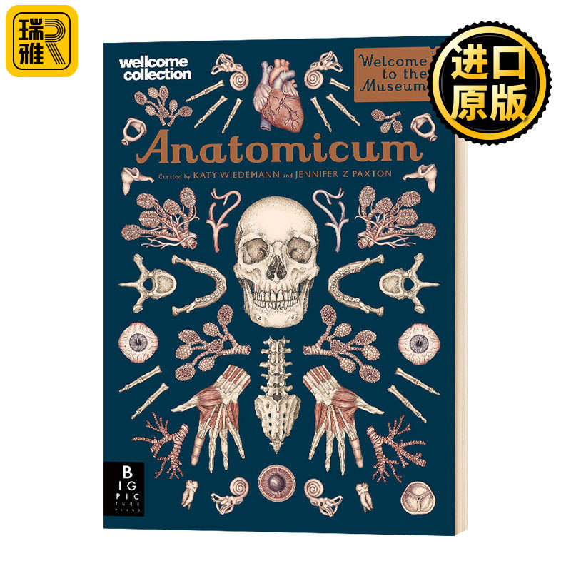 欢迎来到博物馆系列 解剖馆 英文原版 Anatomicum Welcome To The Museum 精装大开本 青少年英语科普入门读物 英文版进口书籍