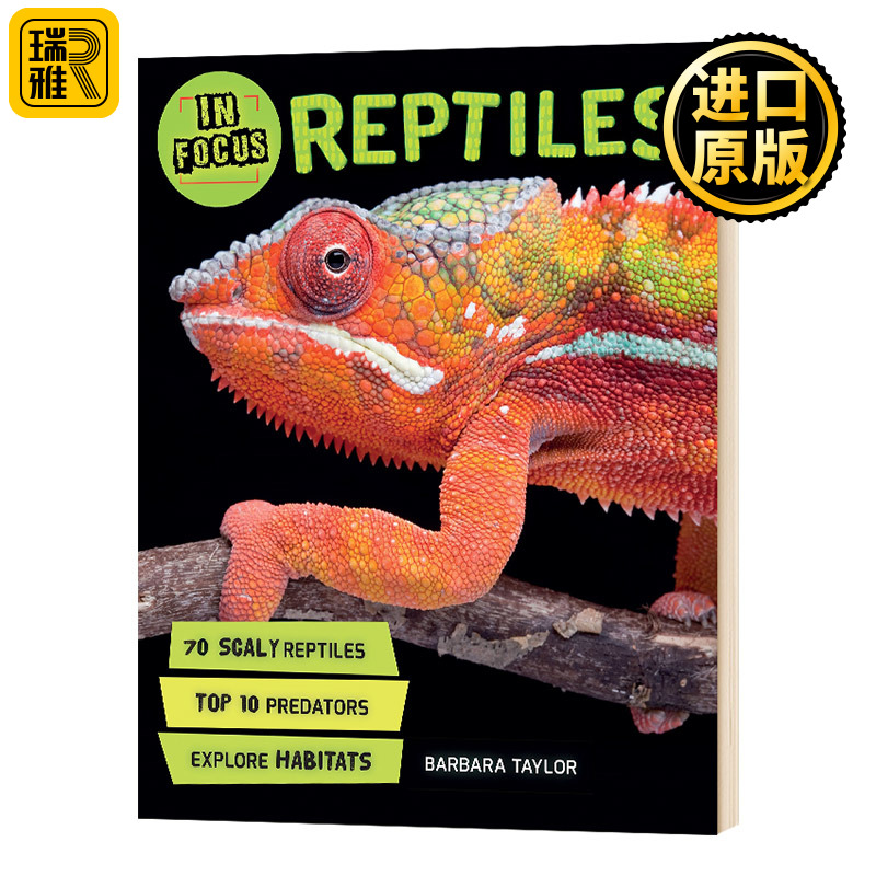 正版 In Focus: Reptiles聚焦：爬行动物 精装科普绘本