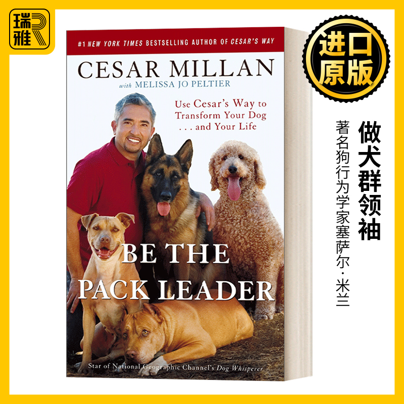 英文原版做犬群领袖