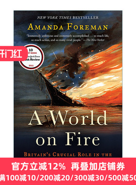 A World on Fire 燃烧的世界 英国在美国内战中的关键作用 历史 Amanda Foreman