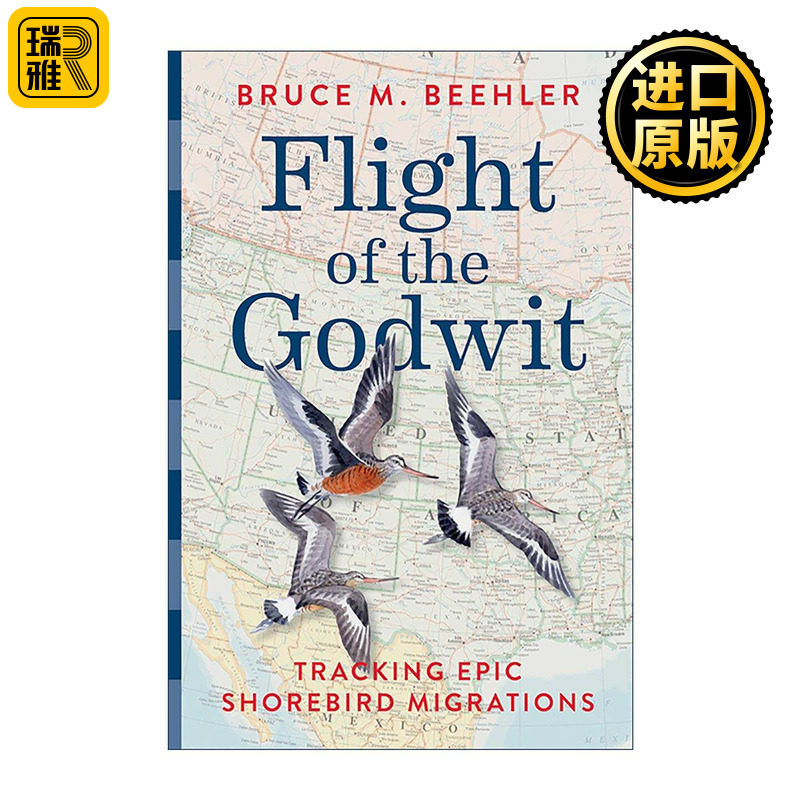 英文原版 Flight of the Godwit 神鸟的飞行 追踪史诗般的滨鸟迁徙 精装插图版 史密森尼 Bruce M. Beehler 进口英语原版书籍