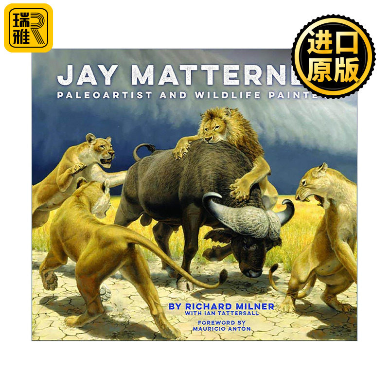 英文原版 Jay Matternes Paleoartist and Wildlife Painter 杰伊·马特内斯 古生物艺术家和野生动物画家 艺术画册精装 英文版
