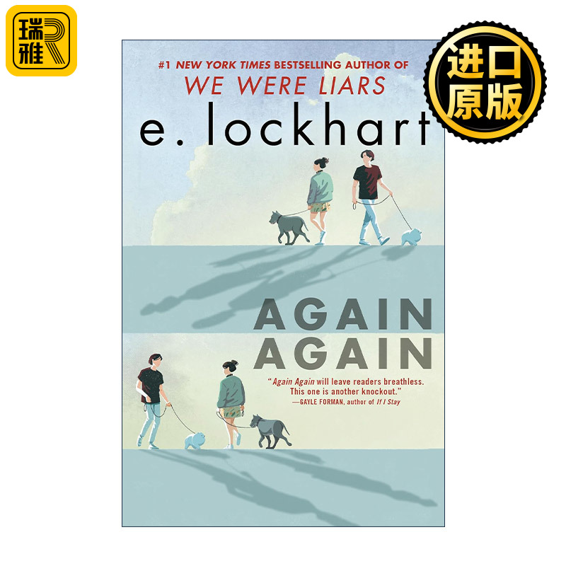 Again Again 再一次 We Were Liars说谎的人作者E. Lockhart