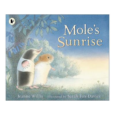 英文原版 Mole's Sunrise 鼹鼠的日出 儿童友谊温馨绘本 珍妮·威利斯 英文版 进口英语原版书籍
