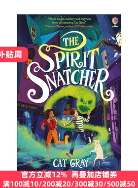 The Spirit Snatcher 灵魂捕手 青少年奇幻神秘小说读物