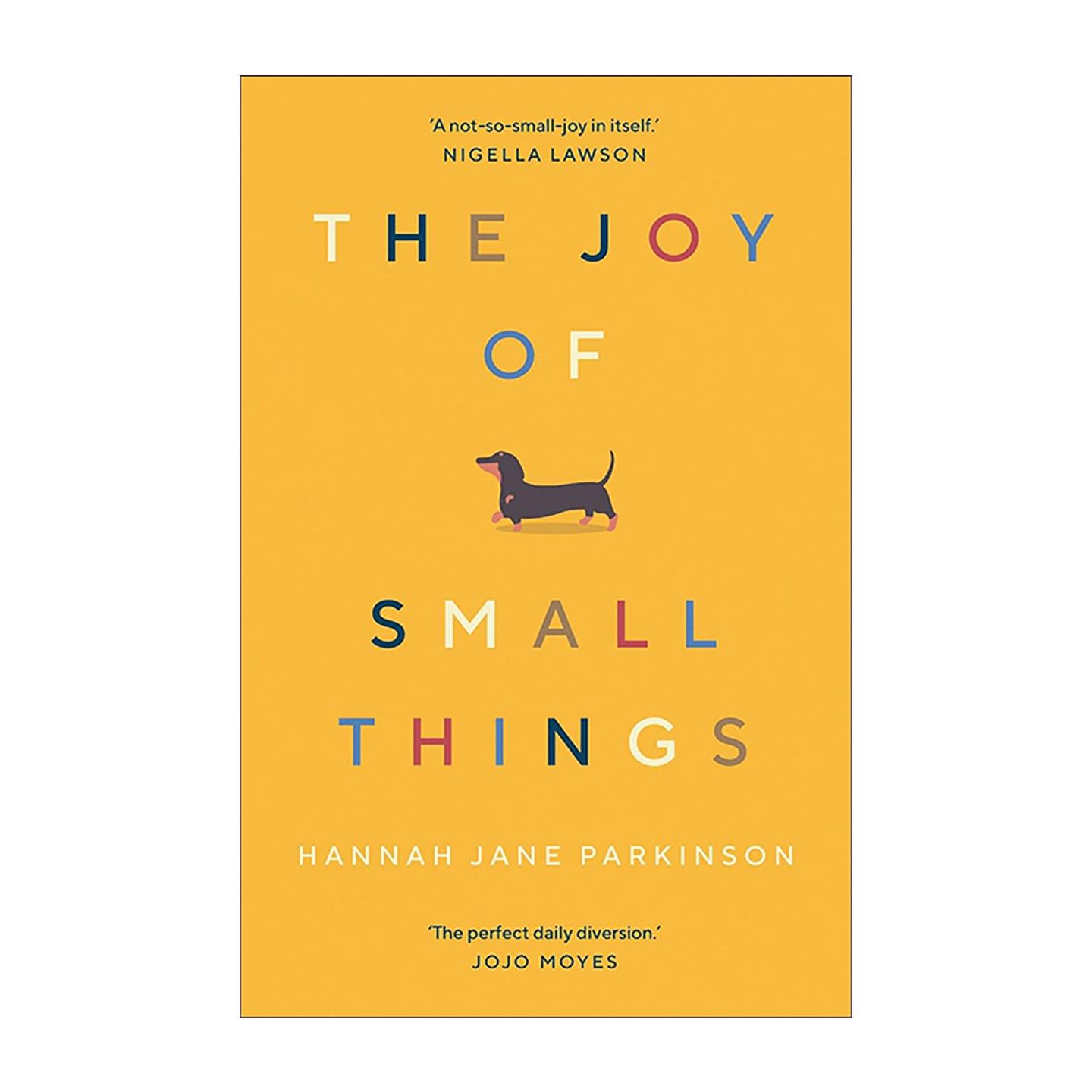 英文原版 The Joy of Small Things 小事之乐 在平凡日常中打捞幸福 生活随笔 心理健康 Hannah Jane Parkinson 英文版 进口书籍