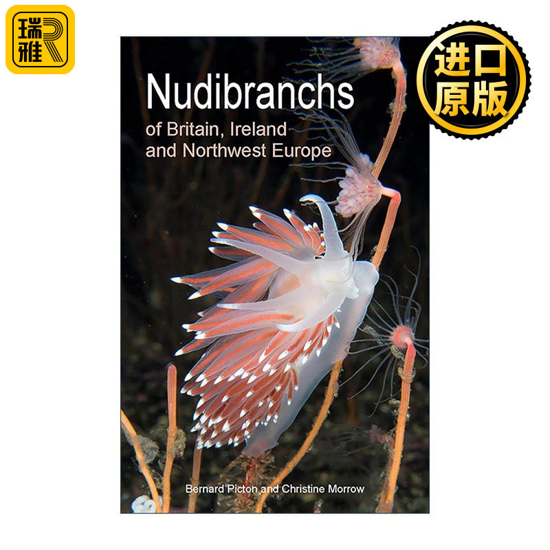 英文原版 Nudibranchs of Britain Ireland and Northwest Europe 英国 爱尔兰和欧洲西北部的裸鳃科动物 第二版 普林斯顿插图指南