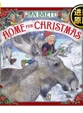 Home for Christmas 回家过圣诞 儿童童话绘本 Jan Brett 精装