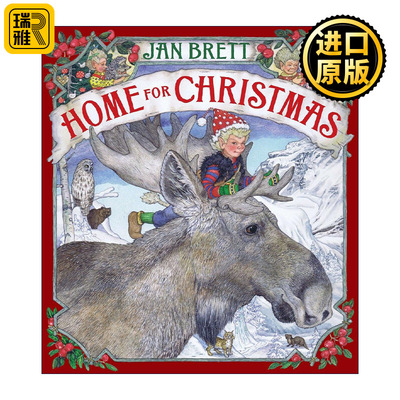 Home for Christmas 回家过圣诞 儿童童话绘本 Jan Brett 精装