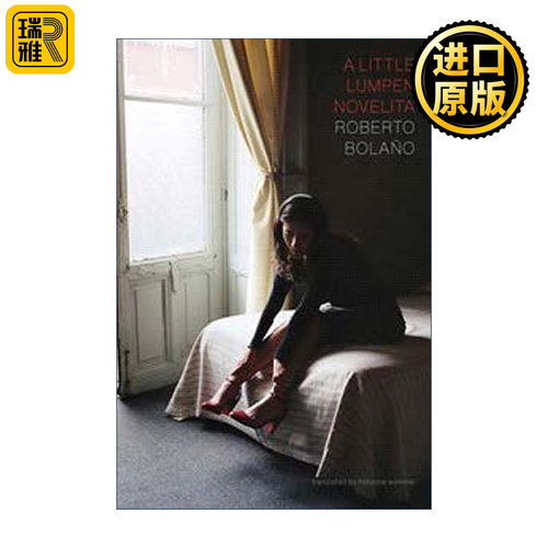 A Little Lumpen Novelita 一部流浪汉小小说 智利西班牙语作家Roberto Bolano波拉尼奥英译本