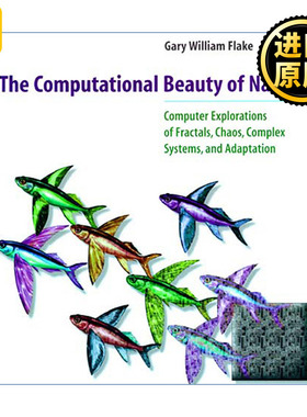 英文原版 The Computational Beauty of Nature Gary William Flake