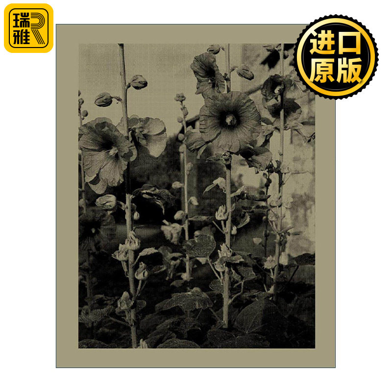 英文原版 Nicholas Nixon Closing The Distance 拉近距离 尼古拉斯·尼克松 纪实肖像摄影集精装 英文版 进口英语原版书籍
