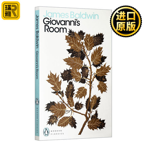 乔凡尼的房间英文原版